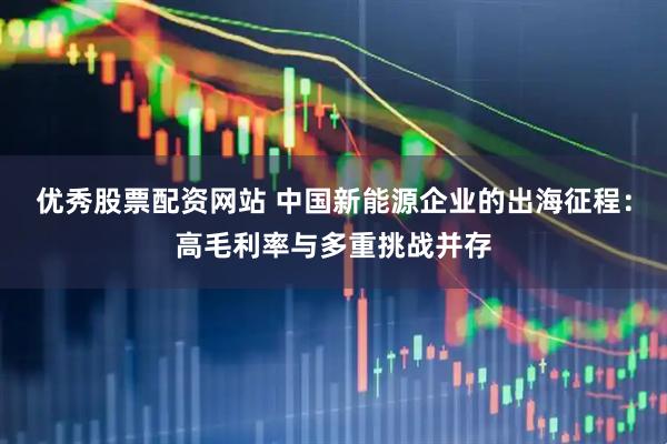 优秀股票配资网站 中国新能源企业的出海征程：高毛利率与多重挑战并存