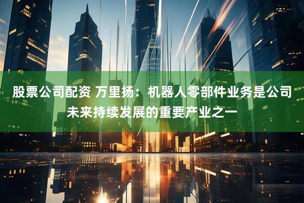 股票公司配资 万里扬：机器人零部件业务是公司未来持续发展的重要产业之一